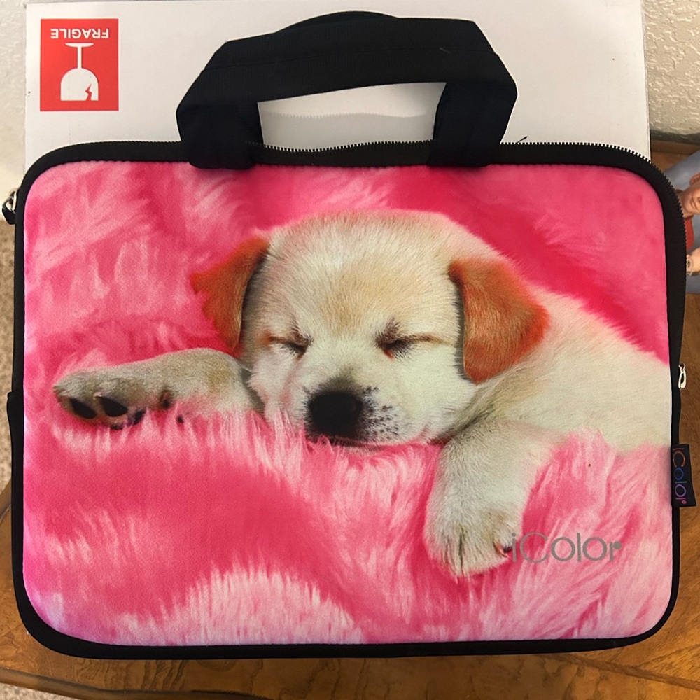 Laptop/tablet carrying case